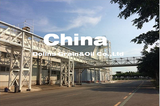 180TPH散裝粕庫設備及其棧橋、塔架安裝項目?